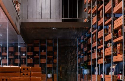 Organicare Showroom | Tropical Space