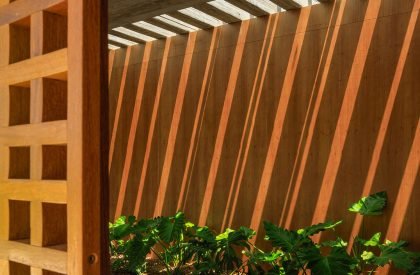 PZ House | mf + arquitetos