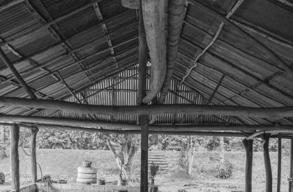 Vernacular Taxonomies: Redefining Traditional Farms as Innovative Hubs within Colombia's Cashew Industry | Design Thesis on Regenerative Architecture