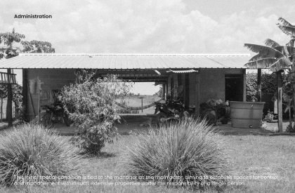 Vernacular Taxonomies: Redefining Traditional Farms as Innovative Hubs within Colombia's Cashew Industry | Design Thesis on Regenerative Architecture