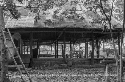 Vernacular Taxonomies: Redefining Traditional Farms as Innovative Hubs within Colombia's Cashew Industry | Design Thesis on Regenerative Architecture