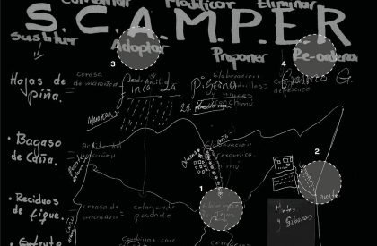Vernacular Taxonomies: Redefining Traditional Farms as Innovative Hubs within Colombia's Cashew Industry | Design Thesis on Regenerative Architecture