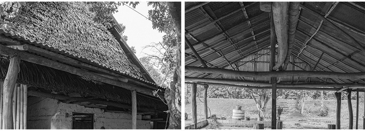 Vernacular Taxonomies: Redefining Traditional Farms as Innovative Hubs within Colombia's Cashew Industry | Design Thesis on Regenerative Architecture