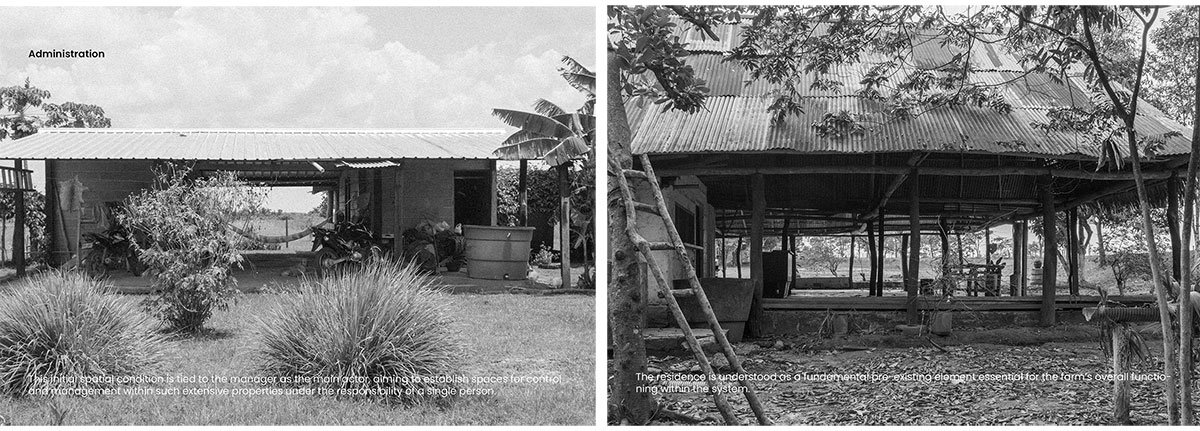 Vernacular Taxonomies: Redefining Traditional Farms as Innovative Hubs within Colombia's Cashew Industry | Design Thesis on Regenerative Architecture