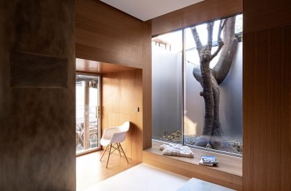 TAOA 798 Studio | TAOA