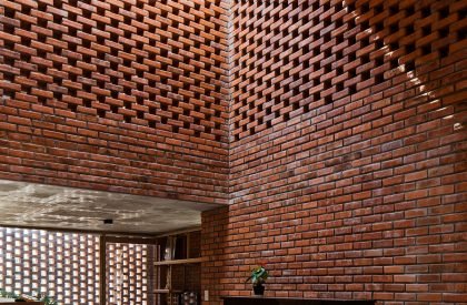 Termitary House | Tropical Space