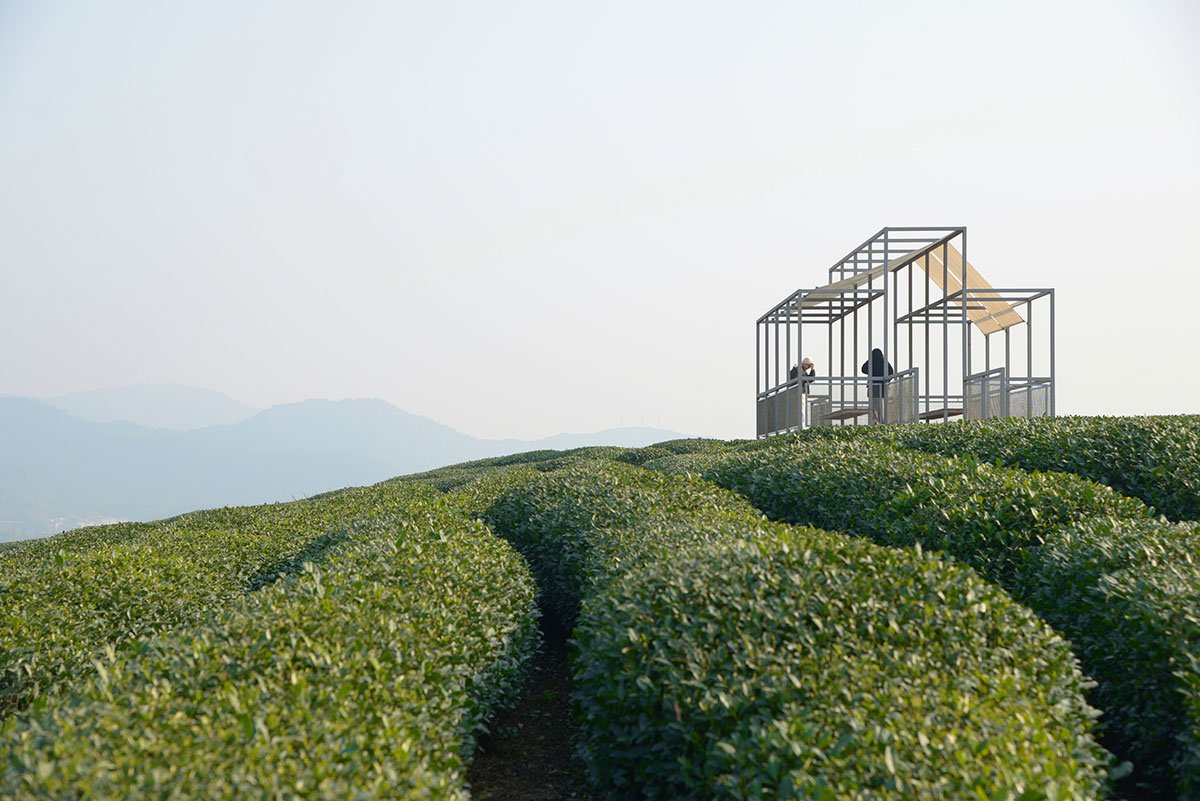 A Floating Pavilion On A Tea Mountain | Youmu Architects