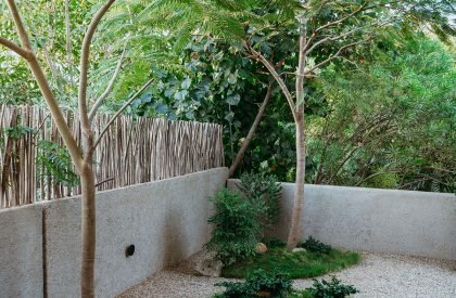 Casa Toro | Estudio Carroll