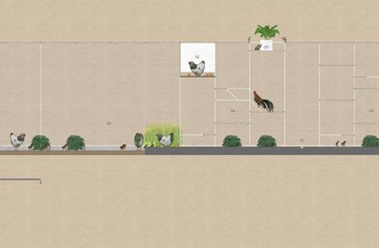 Chicken House | Tropical Space