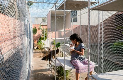 Chicken House | Tropical Space