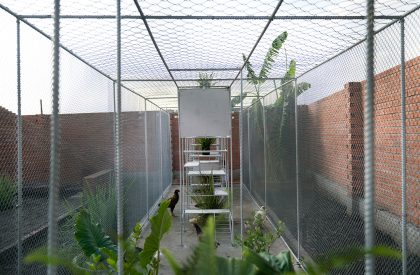 Chicken House | Tropical Space