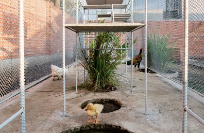 Chicken House | Tropical Space