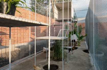 Chicken House | Tropical Space