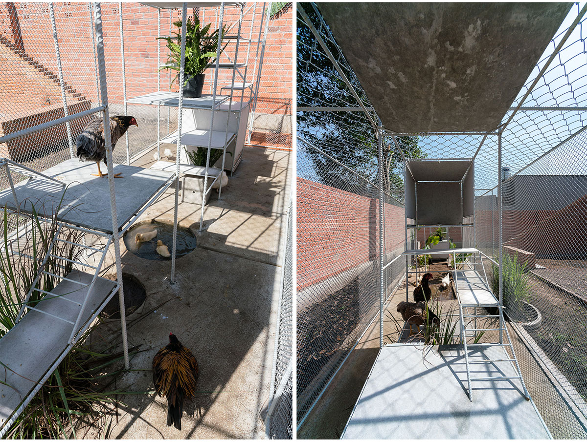 Chicken House | Tropical Space