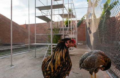 Chicken House | Tropical Space