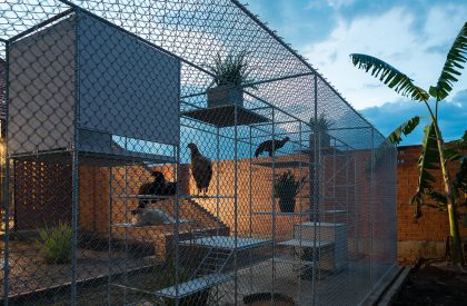 Chicken House | Tropical Space