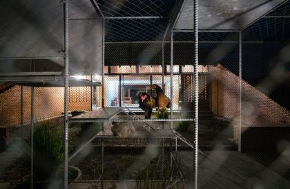 Chicken House | Tropical Space