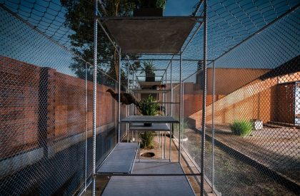 Chicken House | Tropical Space