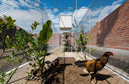 Chicken House | Tropical Space