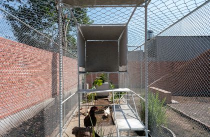 Chicken House | Tropical Space