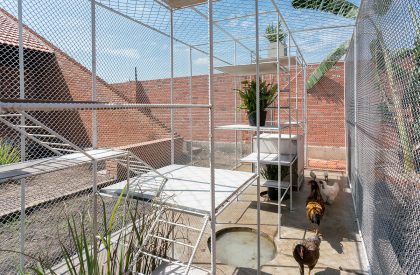 Chicken House | Tropical Space