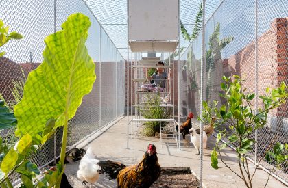 Chicken House | Tropical Space