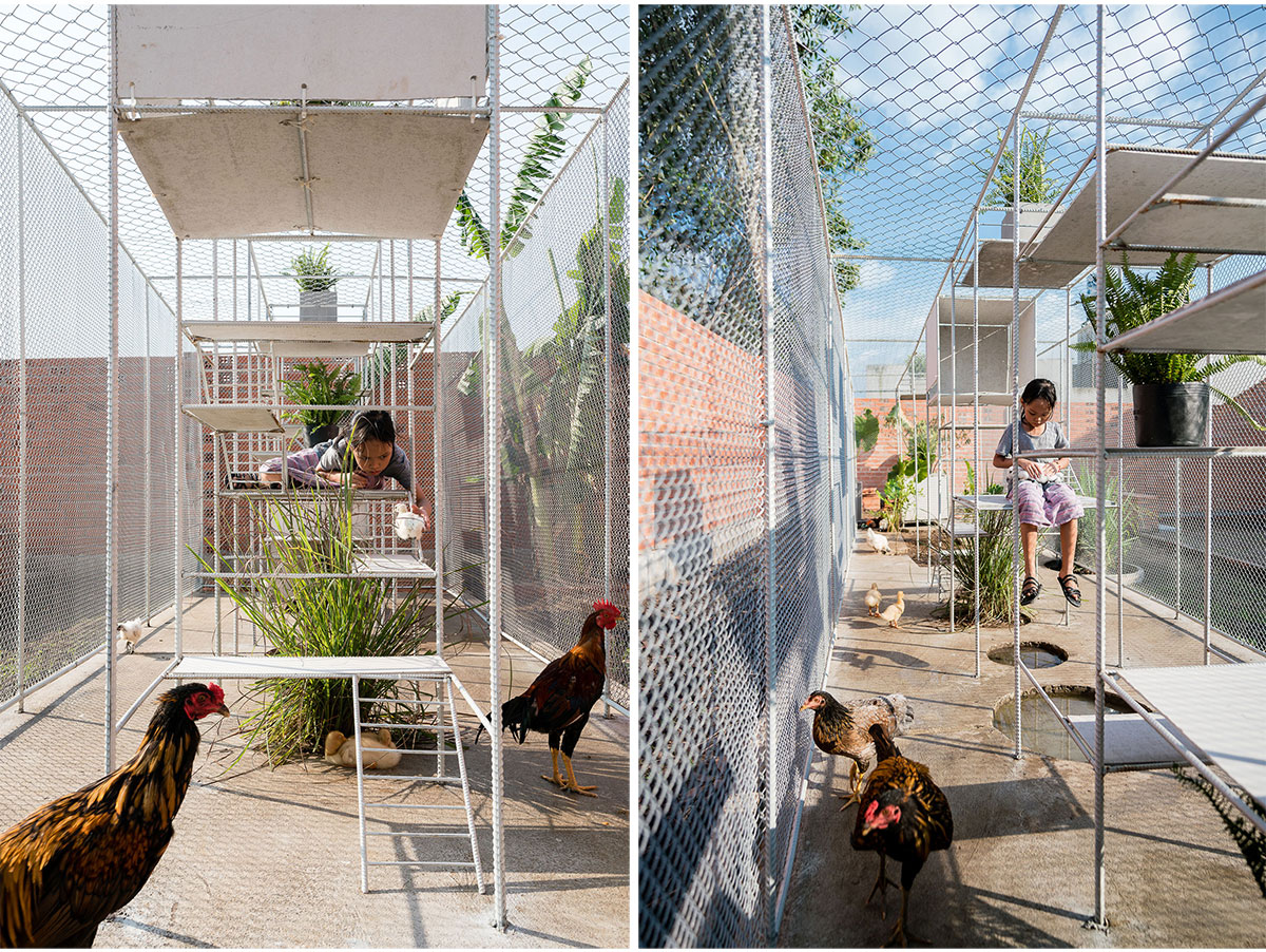 Chicken House | Tropical Space
