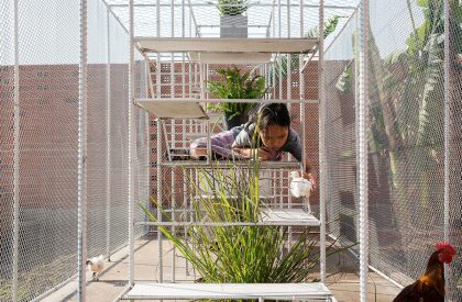 Chicken House | Tropical Space
