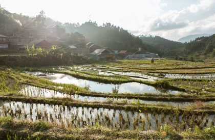 Dabao | Project Mingde (The University of Hong Kong)