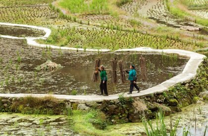 Dabao | Project Mingde (The University of Hong Kong)