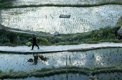 Dabao | Project Mingde (The University of Hong Kong)