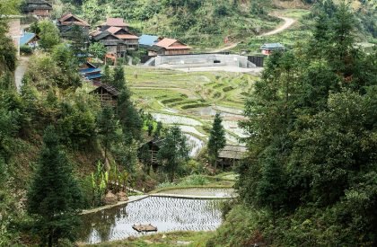 Dabao | Project Mingde (The University of Hong Kong)