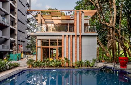 Earthy Elegance | The Arch Studio