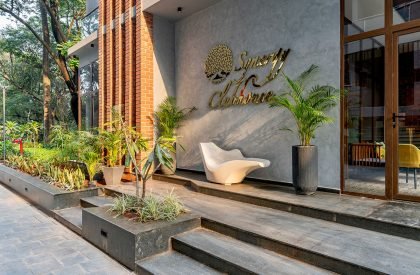 Earthy Elegance | The Arch Studio