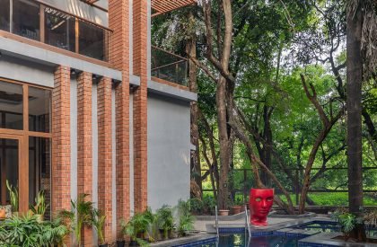 Earthy Elegance | The Arch Studio