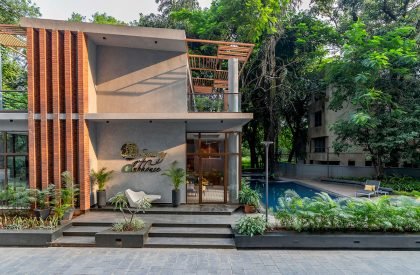 Earthy Elegance | The Arch Studio