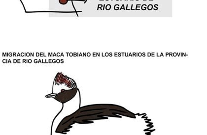 Rehabilitating The Intertidal Zone of The Gallegos River | Architecture Thesis on Urban Regeneration