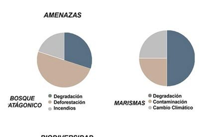 Rehabilitating The Intertidal Zone of The Gallegos River | Architecture Thesis on Urban Regeneration