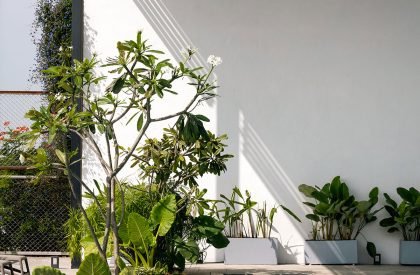 Club of Courts | Studio Motley