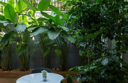 Linear Verde | Nestcraft Architecture