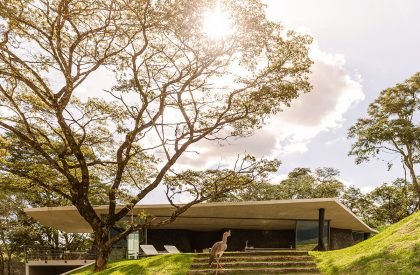 Seriema House | Tetro Arquitetura