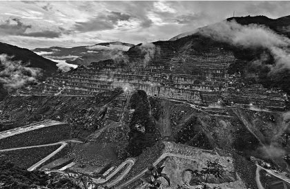 Impermanent Substrates: Restorative Infiltrations in the Interstice | Architecture Thesis on Regenerative Architecture