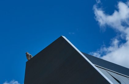 A Mourning Dovecote | S^A | Schwartz and Architecture
