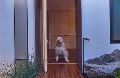 A Mourning Dovecote | S^A | Schwartz and Architecture