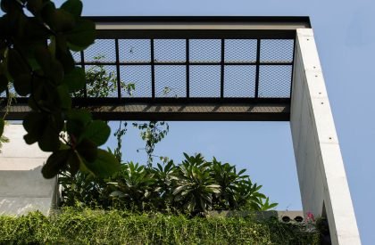 Amore Residence | SHATOTTO architecture for green living