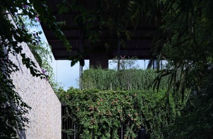 The Vibes Co-space | Infinitive Architecture