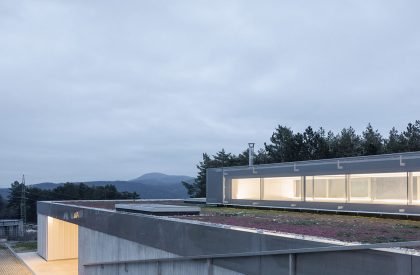 Zasadený House | Pauliny Hovorka Architekti