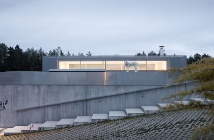 Zasadený House | Pauliny Hovorka Architekti