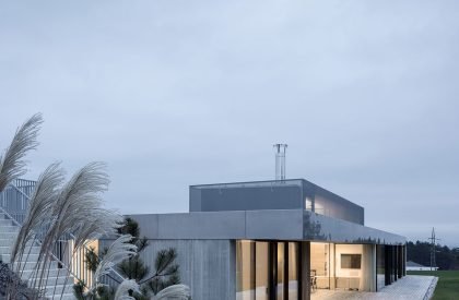 Zasadený House | Pauliny Hovorka Architekti