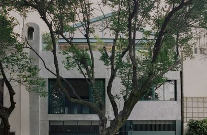 Casa Sofia | AMASA Estudio